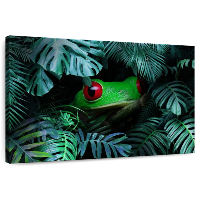 Brampt Tropical Tree Frog
