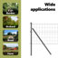 Border Fencing-1319597925-1319597845