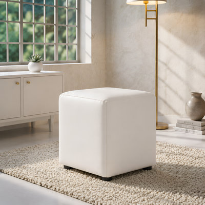 Faux Leather Cube Seating