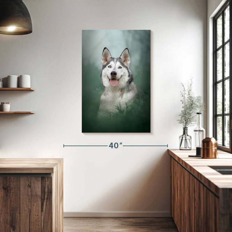Husky sur l'herbe