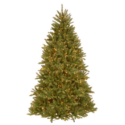 Dunhill Fir Tree with Clear Lights