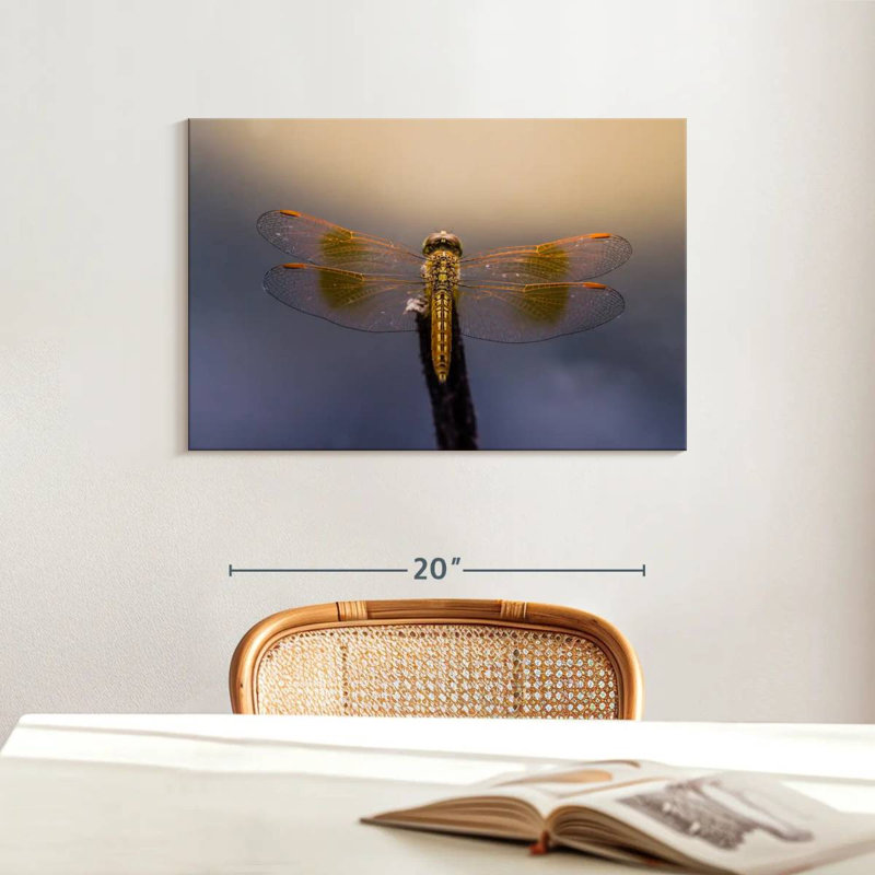 Crowle Dragonfly Glow, 16" H x 24" W