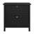 Siena 31'' Wide 2 -Drawer File Cabinet-1711515455