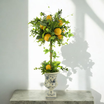 Topiaire citron Garnes dans un vase à piédestal décoratif