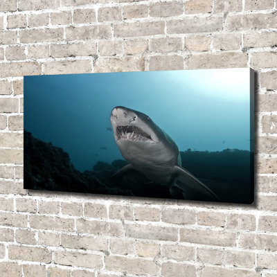 Big Shark - No Frame Print on Canvas