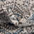 Weingartner Abstract Indoor Rug-1047697034