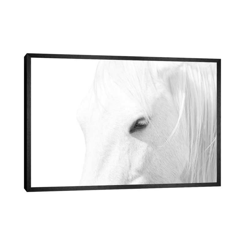Marco Carmassi by Marco Carmassi - Floater Frame Gallery-Wrapped Canvas Giclée on Canvas, 45.72 cm H x 66.04 cm W, Black