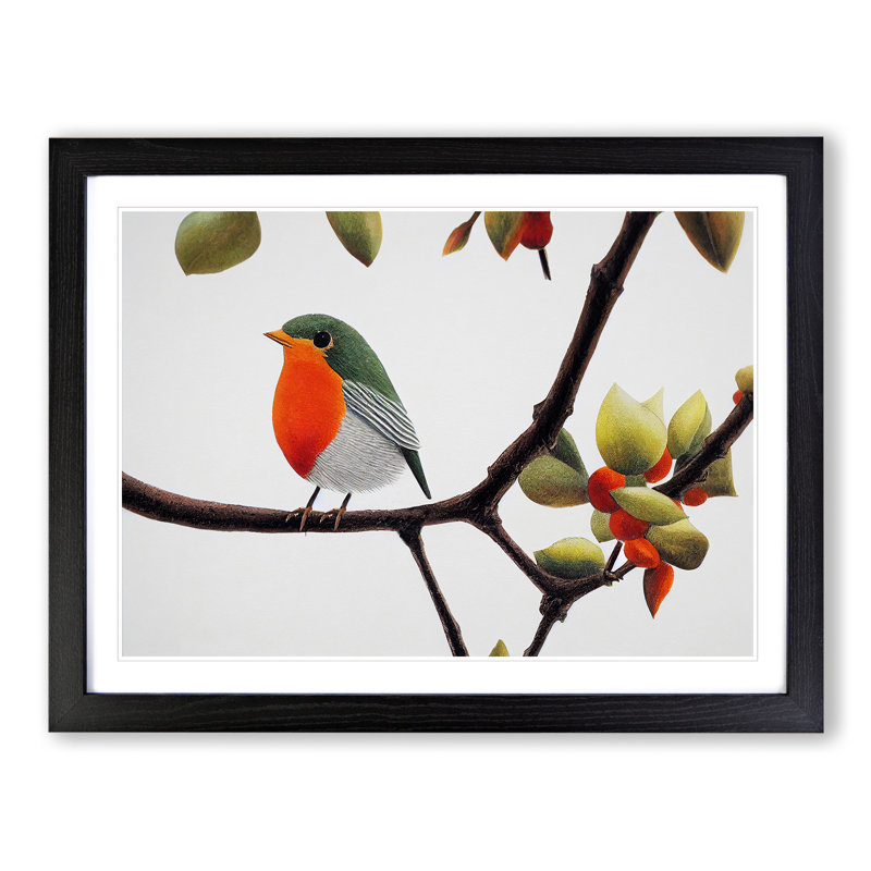 Captivating Robin Bird - Framed Print, Black, 25cm H x 34cm W x 2cm D