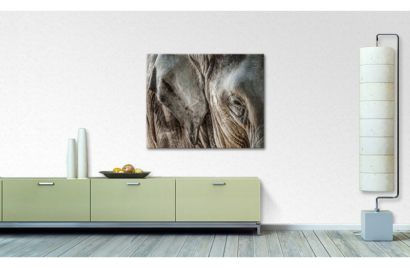 Wrapped Canvas Print, 80cm H x 100cm W x 2cm D