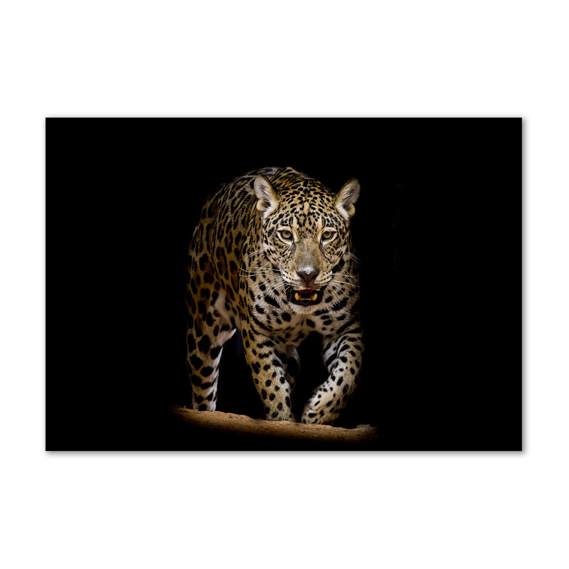 Jaguar - No Frame Print on Canvas