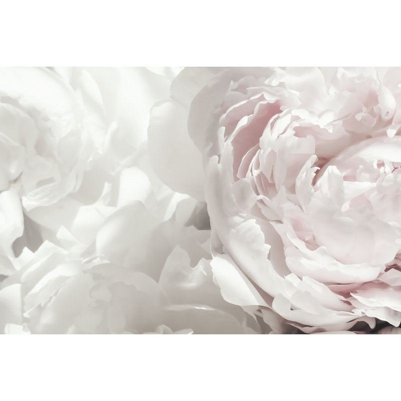 Wrapped Canvas Print, 60.96 cm H x 91.44 cm W