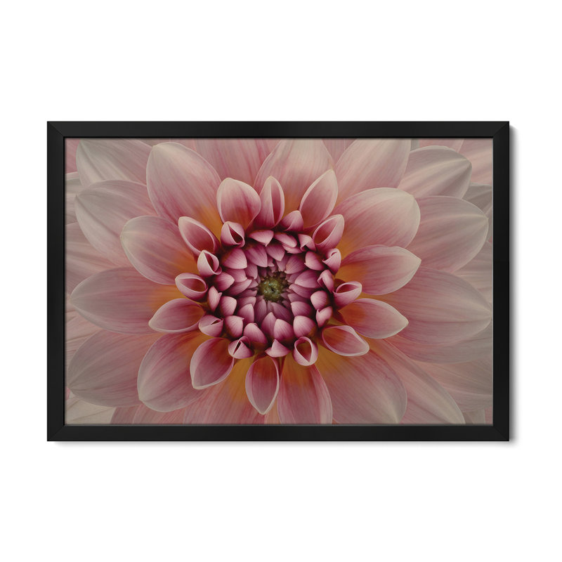 Blush Premium Framed Poster by Richard Urbanski