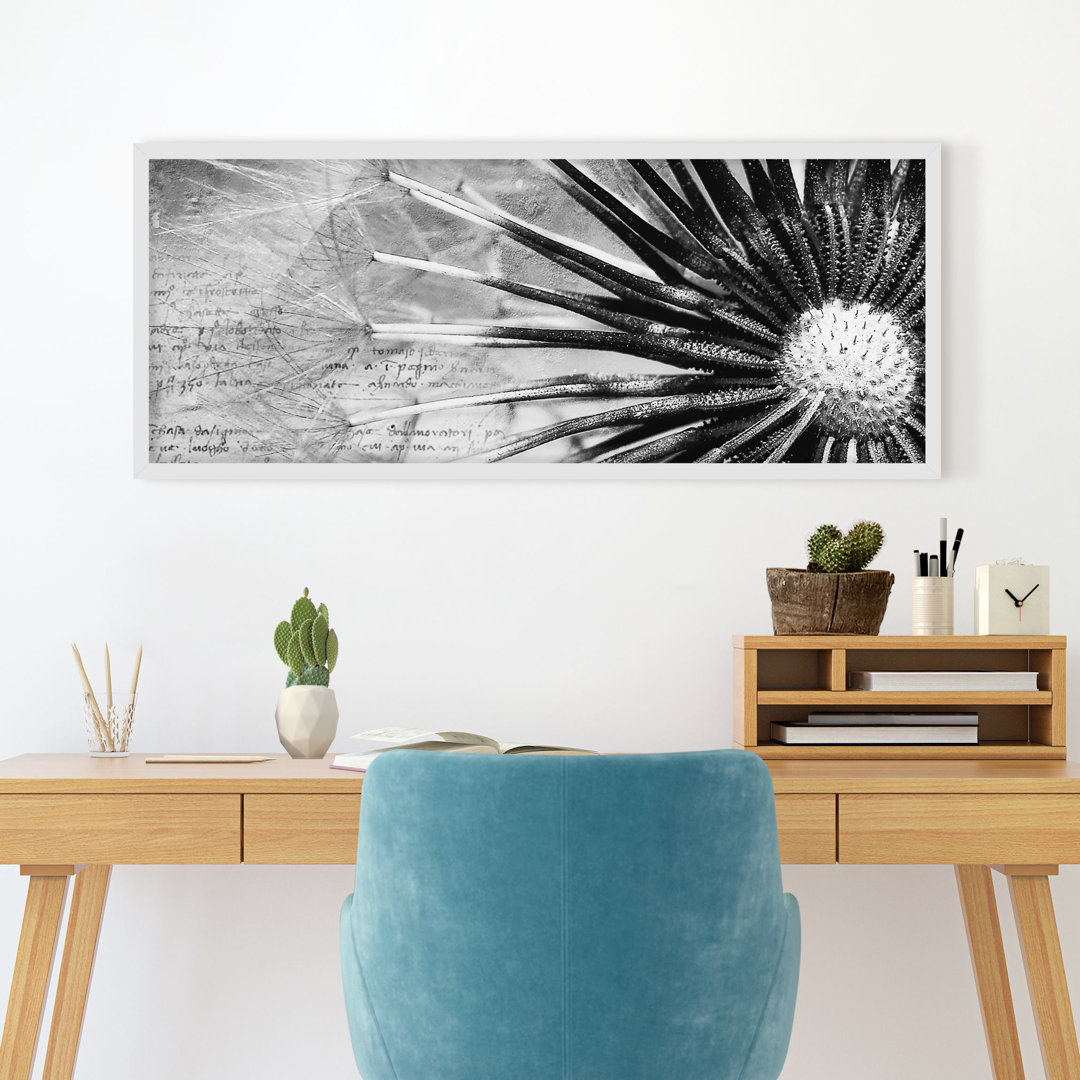 Gerahmtes Poster Dandelion Black & White