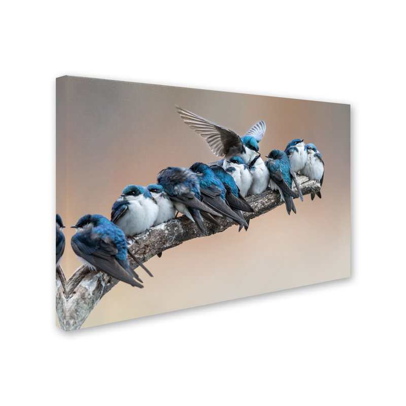 « no room no problem », reproduction de photo sur toile tendue, H 22 po x l 32 po