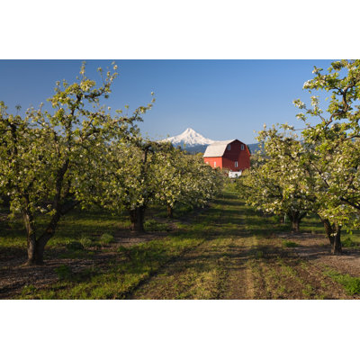 Pomme, verger, rivière, rivière, Oregon, par Zschnepf - Photographie sur toile tendue