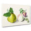 Pear And Plum by E.G. Van De Kasteele - Wrapped Canvas Painting-55339177