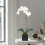 Orchid Arrangement In Vase-1326828204-1326828207