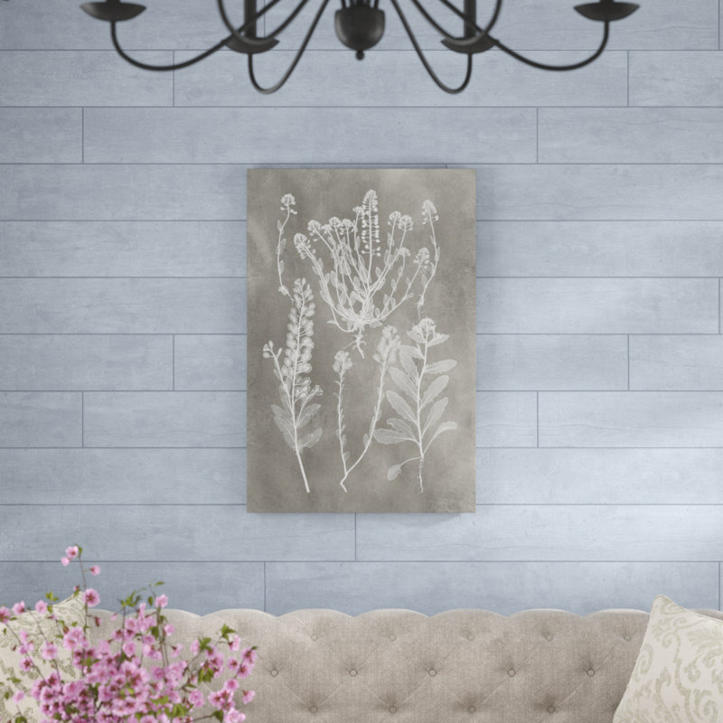 «Herbarium Study III» par Vision Studio, reproduction d'art sur toile, H 36 po x l 24 po, Toile tendue