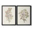 «Twig Study I», ensemble de 2 impressions sur toile encadrées-864421125-864421126