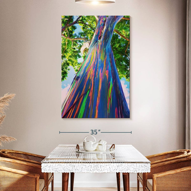 Harnek Hawaiian Rainbow Eucalyptus Tree, 51" H x 34" W