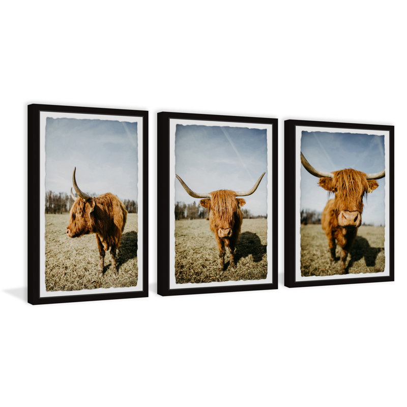 Illings Sweeping Horns - 3 Piece Single Picture Frame Print Set, 61cm H x 123cm W x 3.81cm D