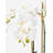 Functional Beauty Realtouch Orchid Planter