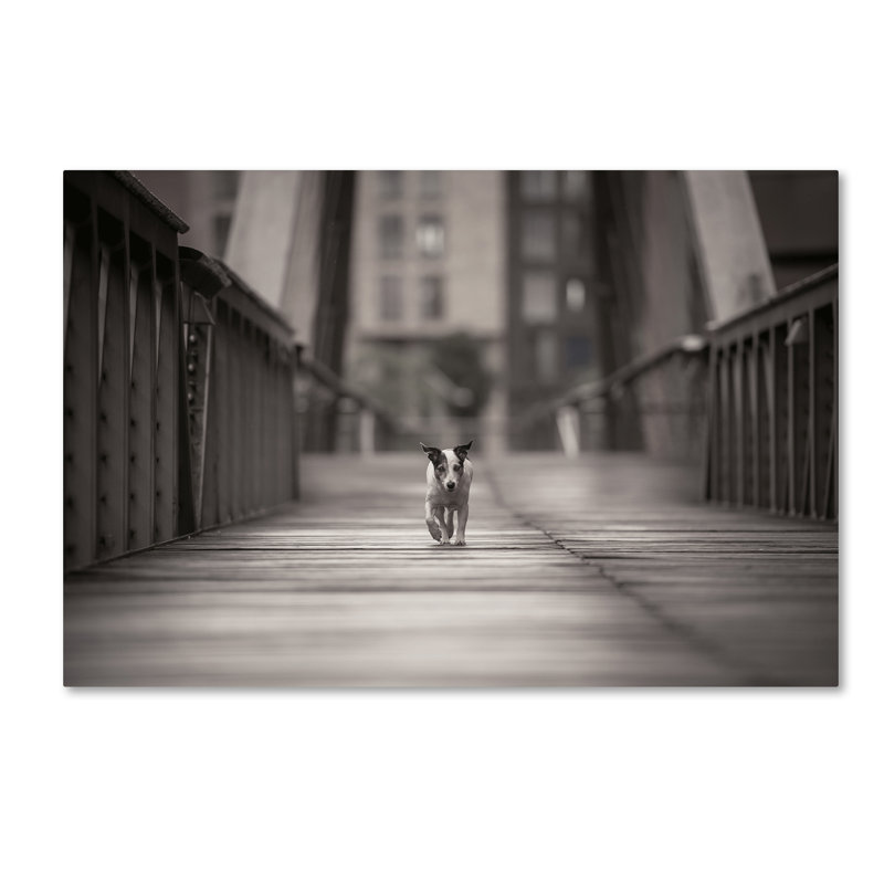 Art mural sur toile tendue - «You Can Go Your Own Way» de Heike Willers pour décoration de salon, de chambre à coucher ou de bureau - 30 x 47