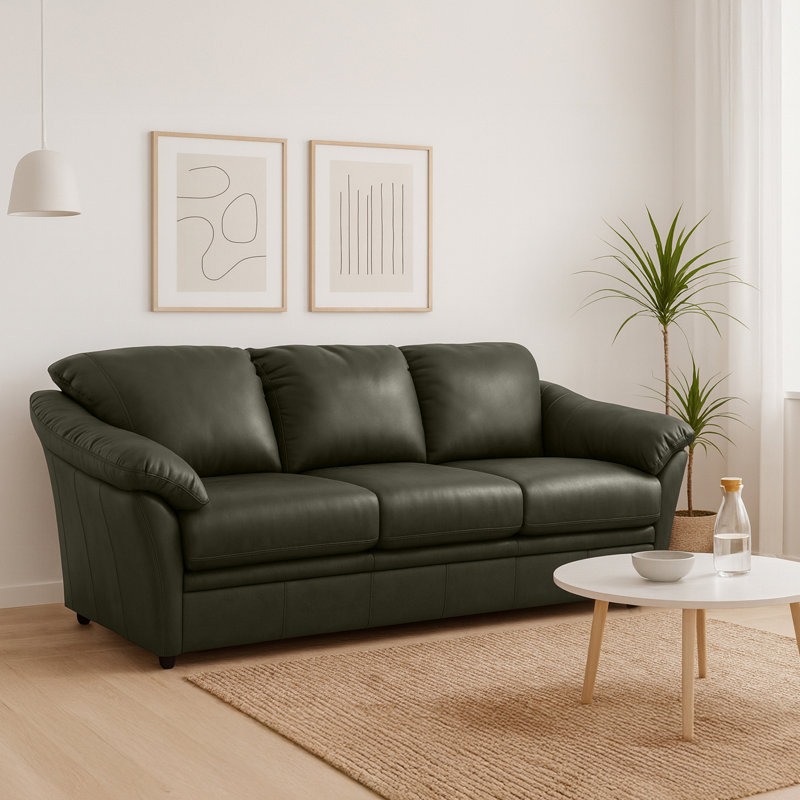 Ramdev Top Grain Leather Sofa Bed with Cushioned Back and Pillow Top Arm, Charcoal