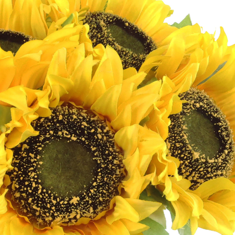 Cummins tournesol floral dans un vase, Jaune