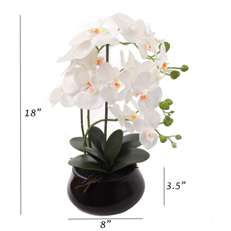 2-pack White Phalaenopsis Orchid | Elegant Faux Orchids In 7" Black Pots – Lifelike Decor For Home & Office