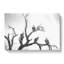 Vultures on a Tree - Wrapped Canvas-56637319
