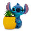 Plante de 6 po