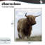 Giclée encadrée «Restland Look Highland» par Marcus Prime-2046605832-2046605835