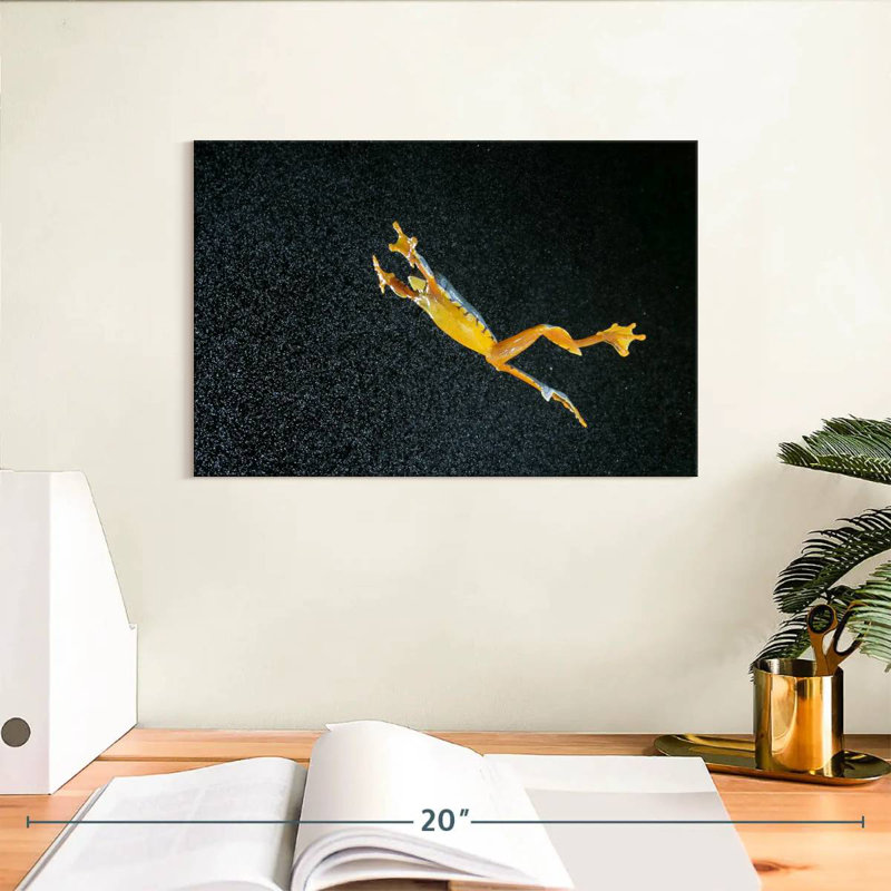 Leaping Leaf Frog, 8" H x 12" W