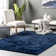 Loni Solid Machine Washable Shag Area Rug for Living Room Bedroom Dining Room Nursery