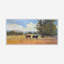 Cows Print by John Beard-253803193