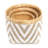 Lily's Living Bamboo Basket