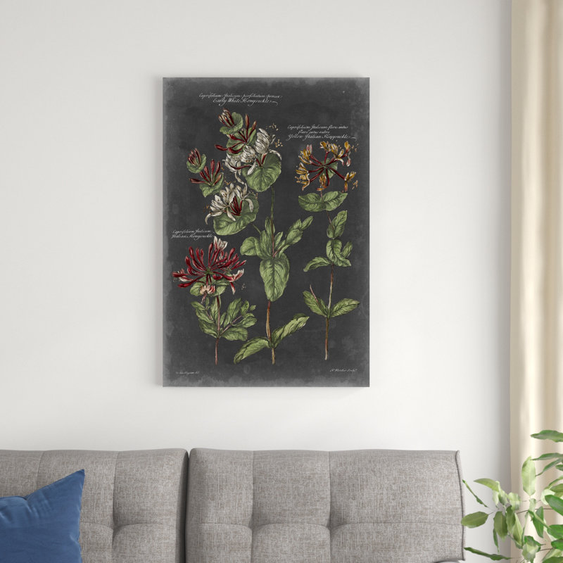 Tableau botanique rétro IV, H 36 po x l 24 po x P 1,25 po