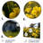 Modern Plants & Flowers Wall Decor