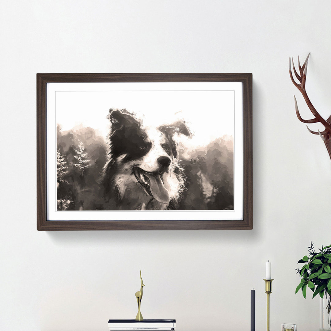 Border Collie Dog in a Meadow in Abstract - Framed Print