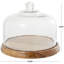 Bois de manguier décoratif avec cloche en verre-190616634