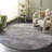 Bobbye Performance Abstract Rug-800218413