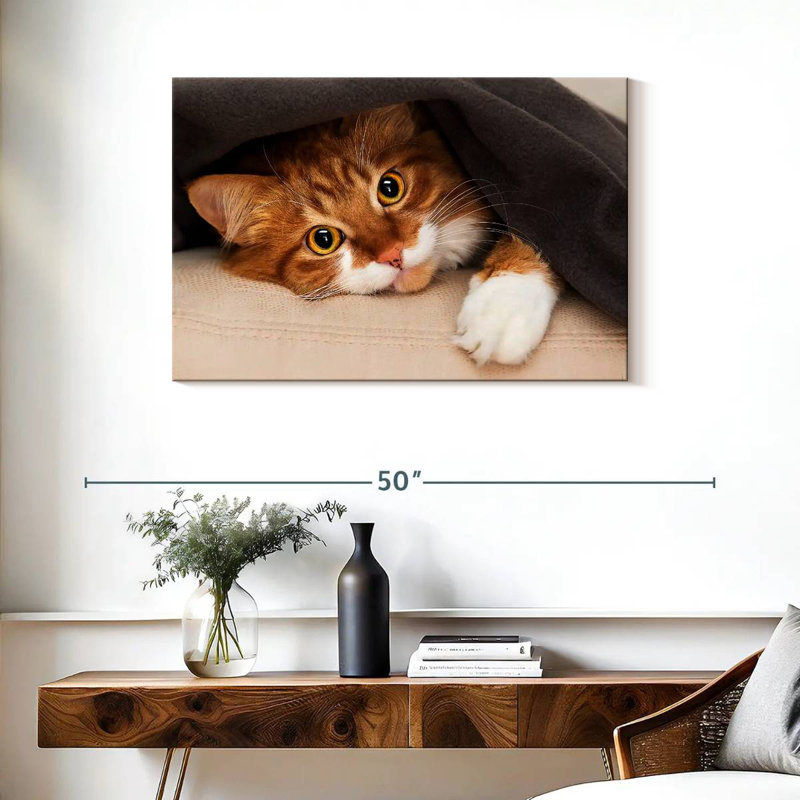 Crowle Cozy Cat, 24" H x 36" W