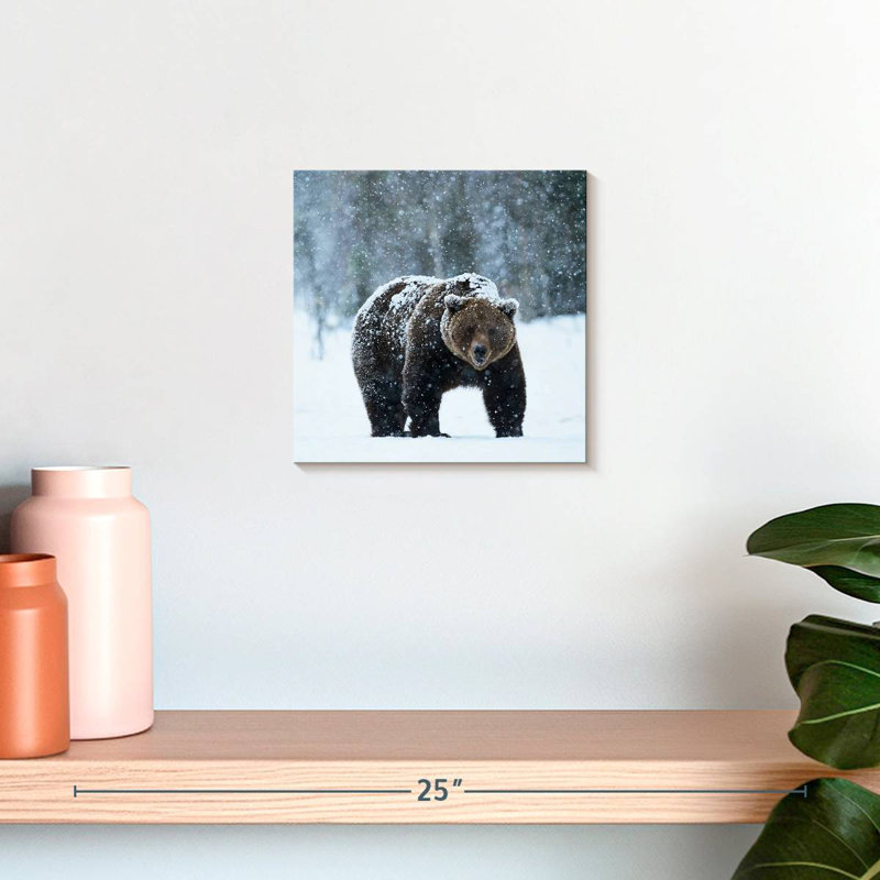 Crowle Winter Brown Bear, 10" H x 10" W