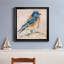 Variété d'oiseaux III - reproduction de cadre photo sur toile-200930870-200930872