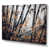 Toile tendue