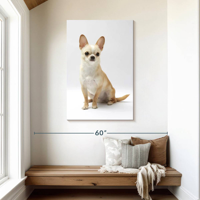 Brampt Seated Chihuahua, 45" H x 30" W