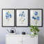 «Blue Blossom Botanical I», ensemble de 3 reproductions de cadres photo-566303055-566303054