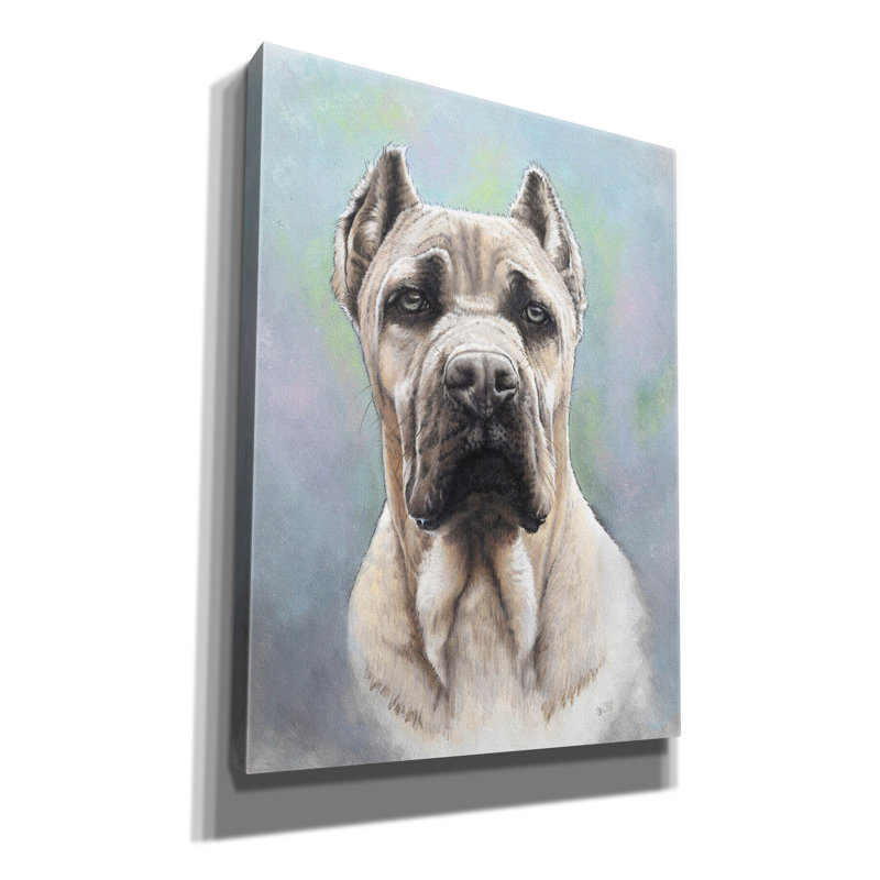«Cane Corso 2» par Barbara Keith, art mural sur toile, H 54 po x l 40 po x P 1,5 po