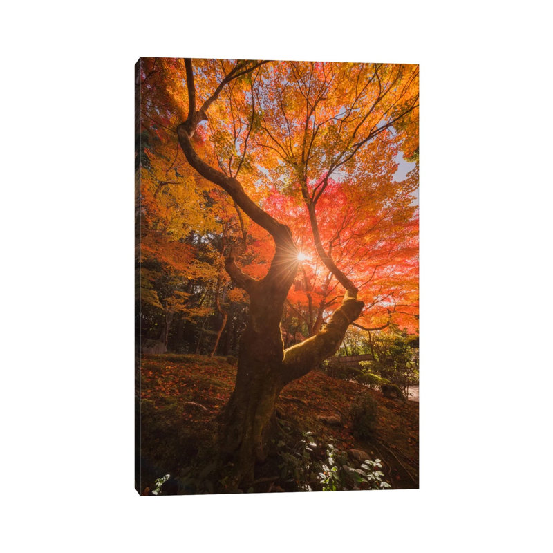 Autumn In Japan XXVIII by Daniel Kordan - Wrapped Canvas Print, 66.04 cm H x 45.72 cm W x 1.91 cm D